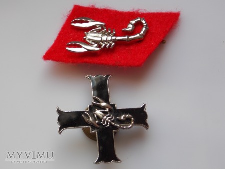 кз1п.jpg
