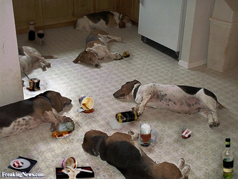 Lazy-Bones--5650.jpg