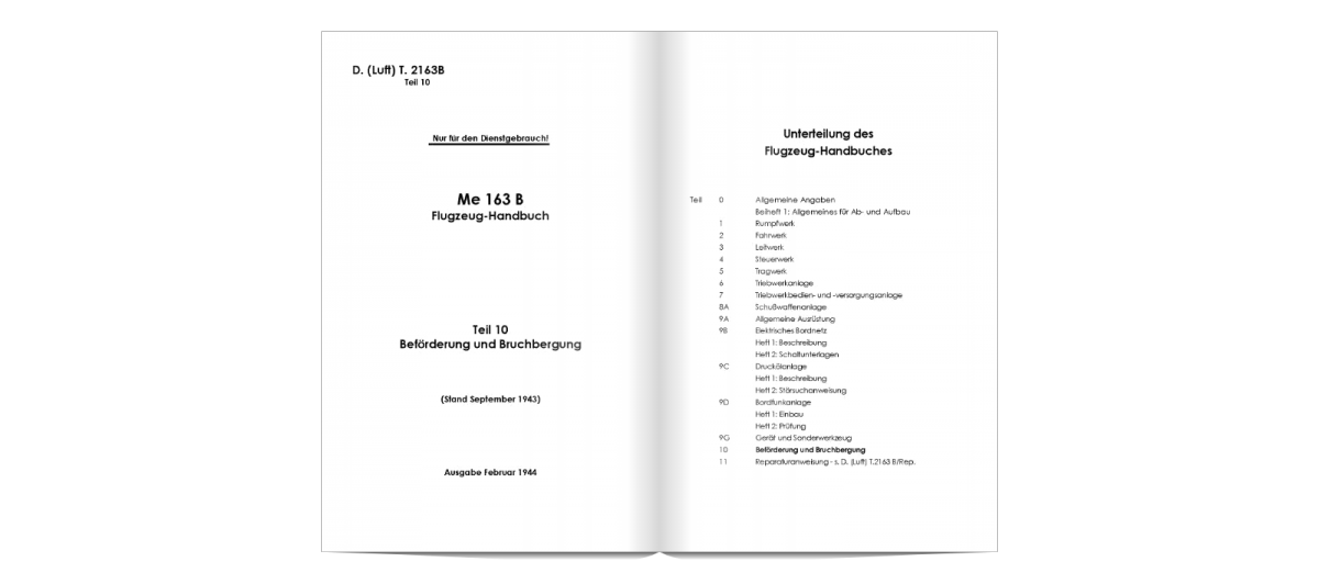 lejupielāde (1).png