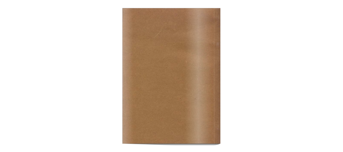 lejupielāde (11).png