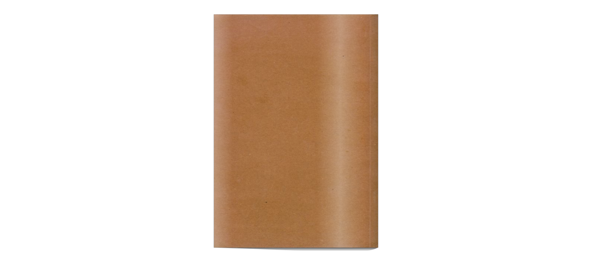 lejupielāde (22).png
