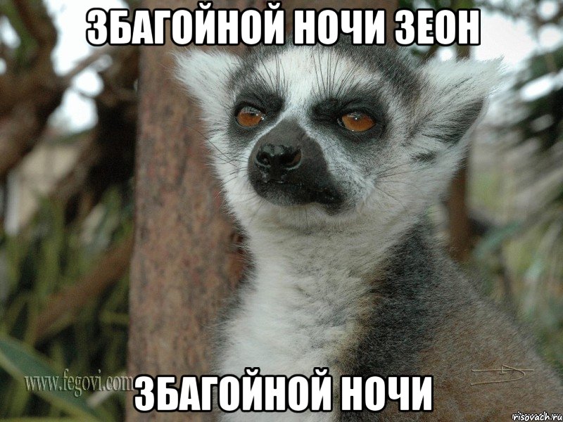 lemur_28833690_orig_.jpeg
