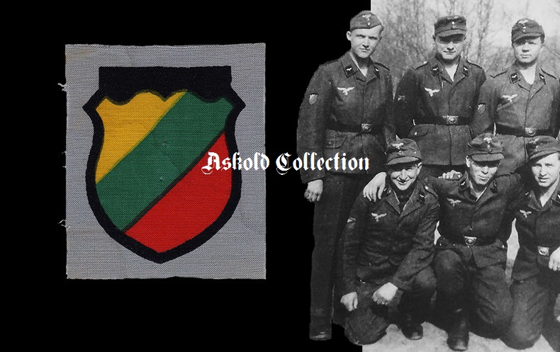 Lithuanian printed shield grey background b.jpg