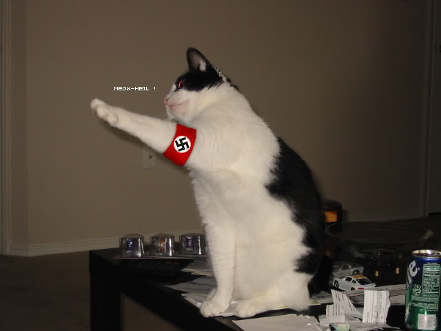 Looks+like+a+nazi+march+_c5d4f119e8b4e32a3185440ecf2afc3e.jpg