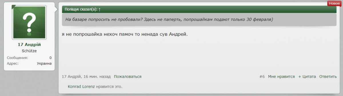 лорлрп.jpg