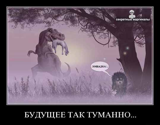 лошадка.jpg