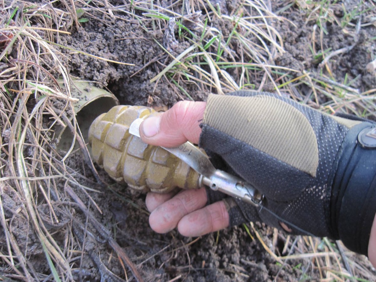 Ловись сепарок.jpg