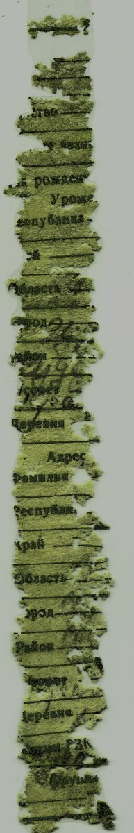 лоз два-2.jpg