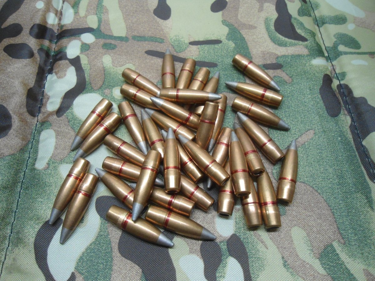 лпс.jpg