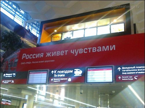 лучше бы умом.jpg