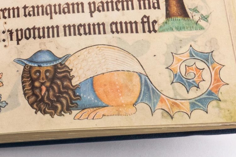 luttrell-psalter-facsimile-edition-07-COPIA-750x500.jpg