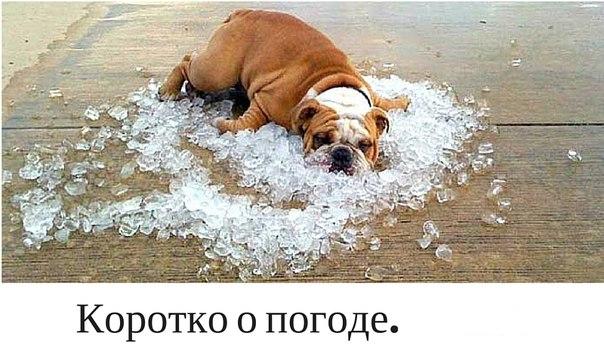 Мечта_Рема.jpg