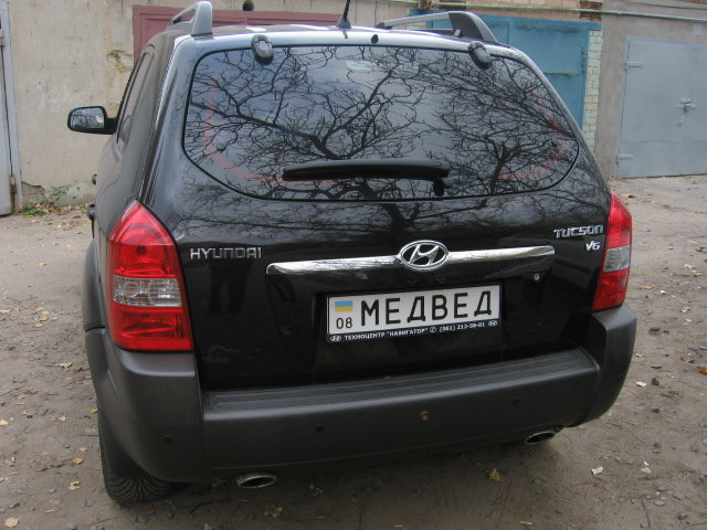медвед.jpg