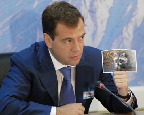 медведев-и-енот.jpg