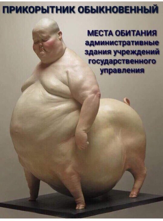 miXKKehjUXk.jpg