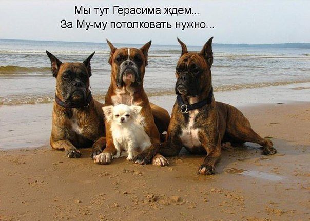 мм.jpeg