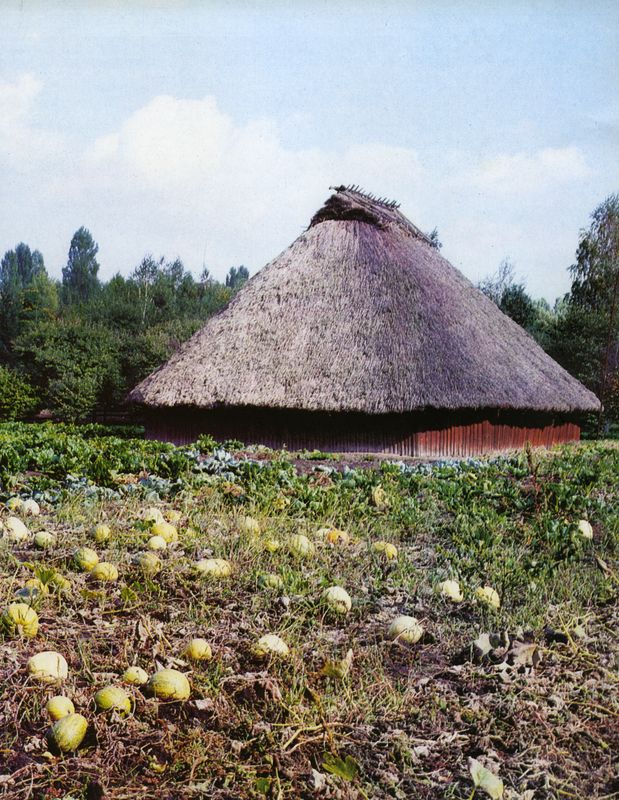 MNAP_Perejaslav_SKrjachko_1993_074_web.jpg