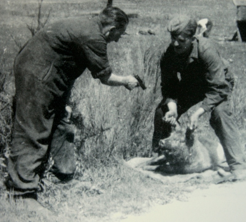 Модераторы банят юзера.jpeg