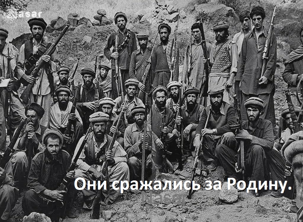 modzahedi.jpg