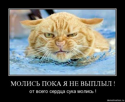 молись.jpg