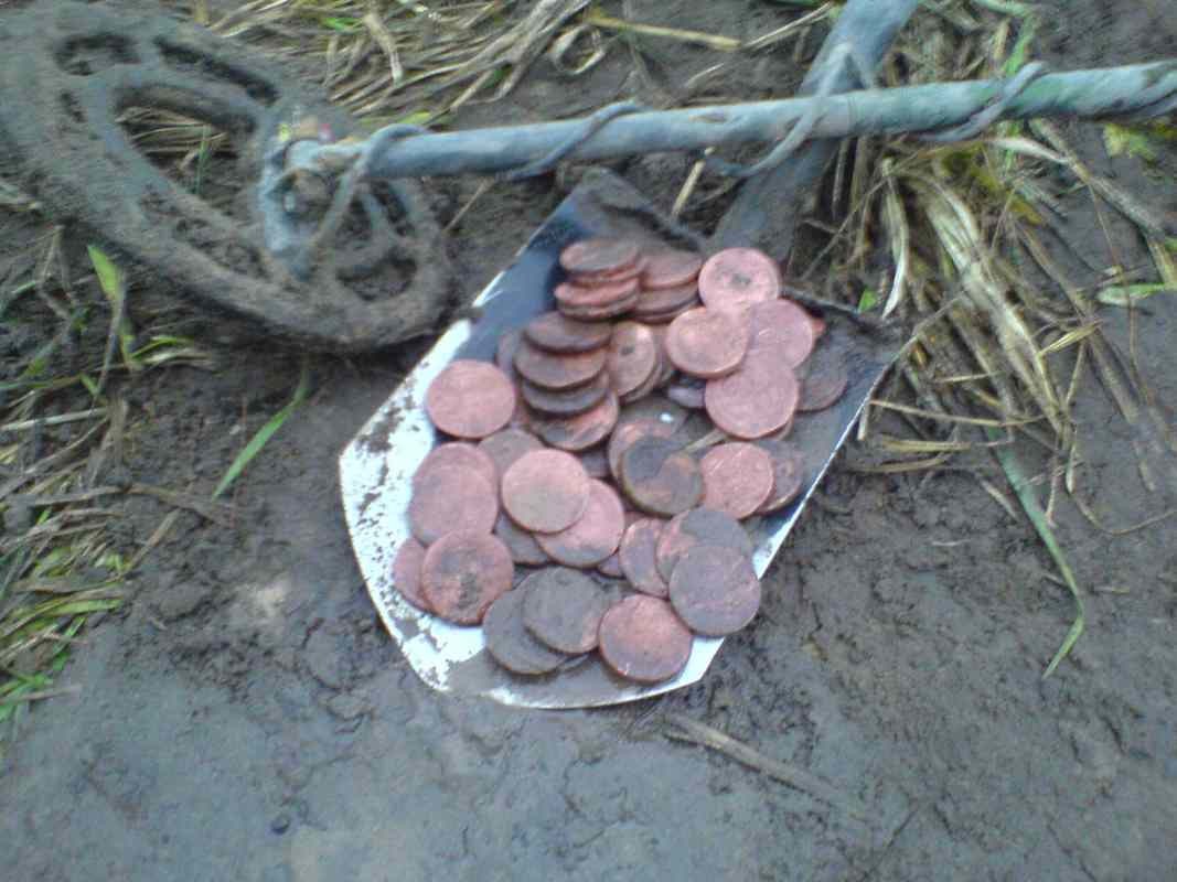 монетки сегодня.jpg