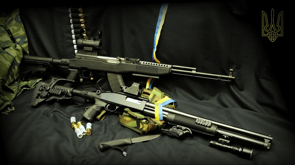 moss_sks - копия.jpg