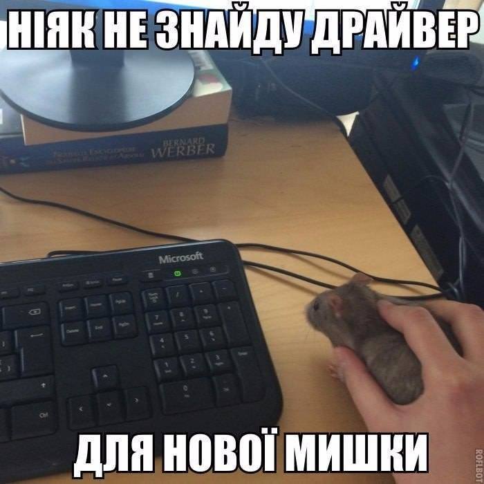 mouse.jpg