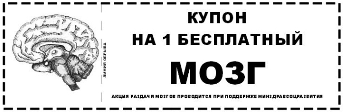 мозг .jpg