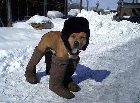 мроз.jpeg