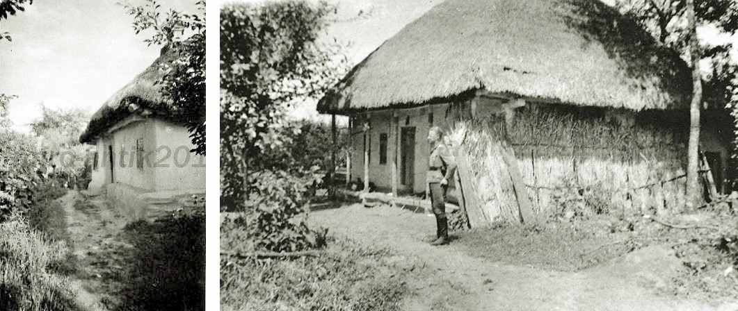 мрыгы.jpg