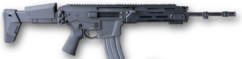 MSB_(both).png