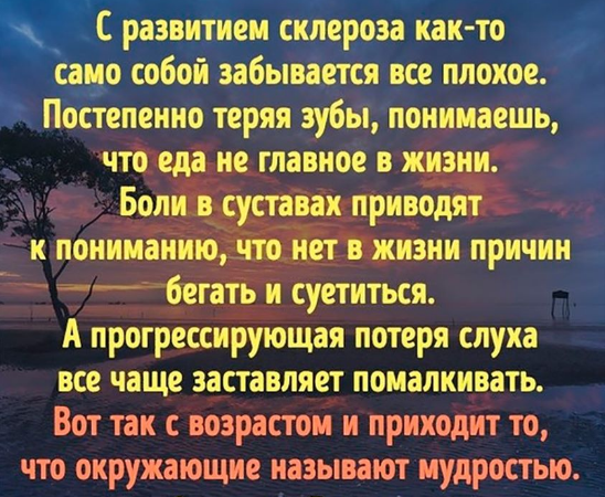 мудрость.png