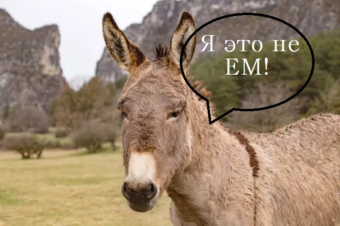 мул.png