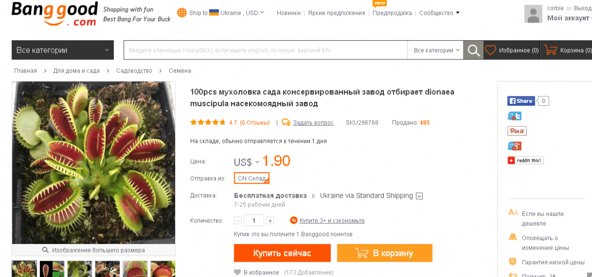 мухоловка.png