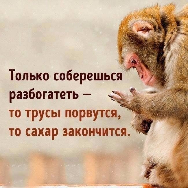 n6v_3ZNHbeuP0qJ4hYEDBwSIpcVE5BClKjZj1PkPUlAFXTyk5422MxSs1cOZ13RdCMMeretX.jpg