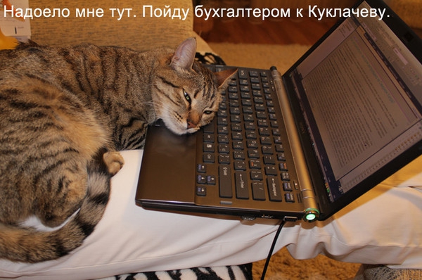 надоело мне тут. пойду бухгалтером к Куклачеву.jpeg