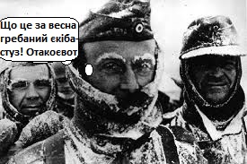 немцы.jpeg