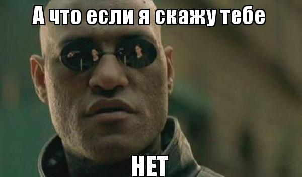 net.jpg