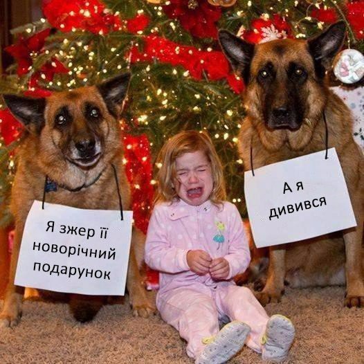 Новогодний подарок.jpg