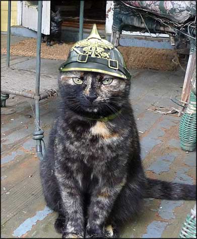 nutmeg_pickelhaube.jpg