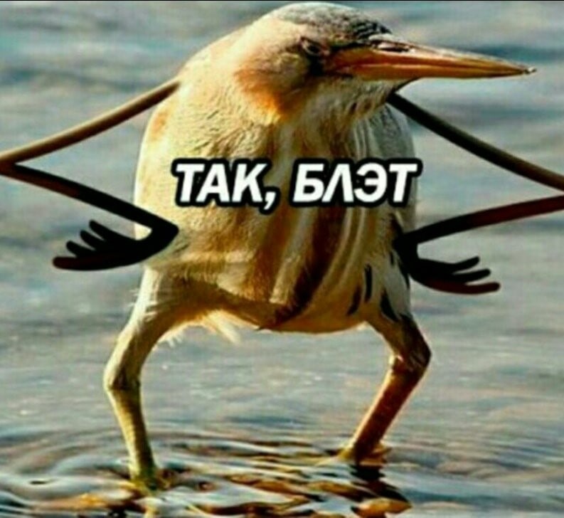 nVBc32Po1aY.jpg