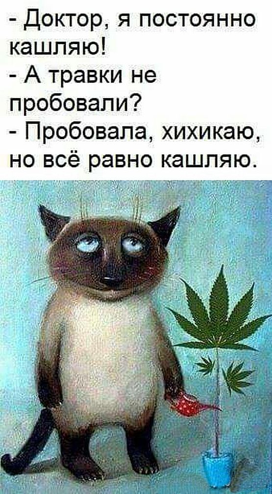 o3qL38Q.jpg