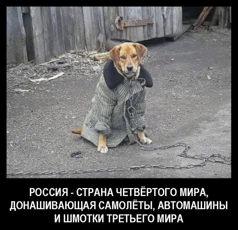 OanCnqT16Ck.jpg