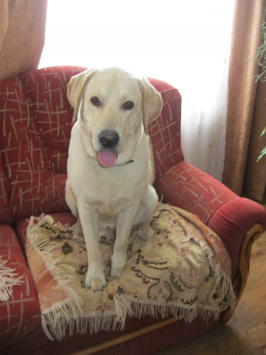 olx 153.jpg