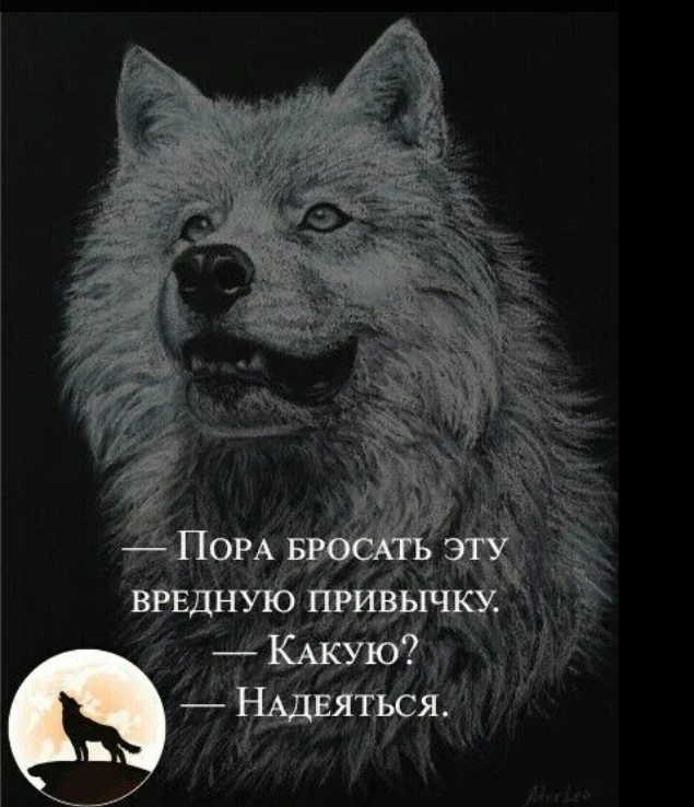 Opera Снимок_2025-06-09_195653_m.ok.ru.png