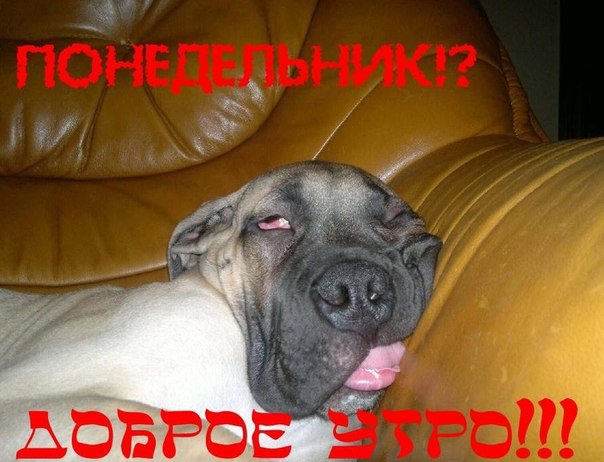 orig_635bb7e2bf4a228c8e648cc479e8c6e5.jpg