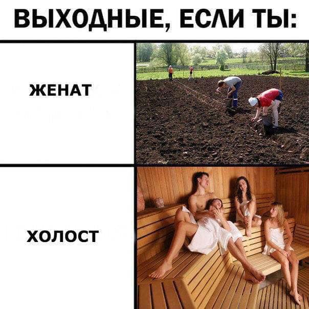 original (2).jpeg