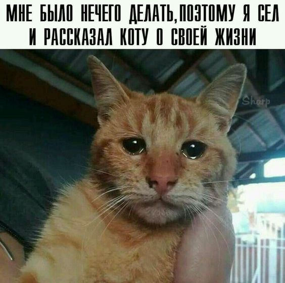 original.jpeg