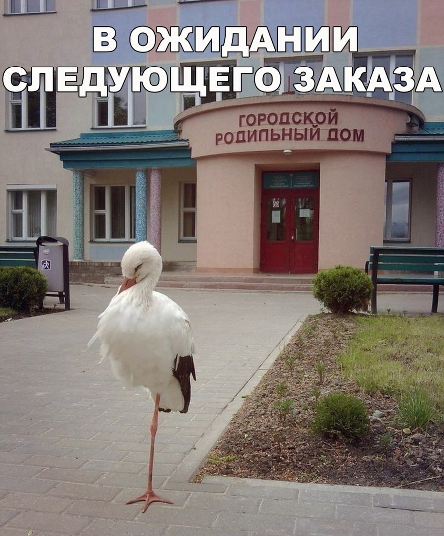 original_23216.jpg