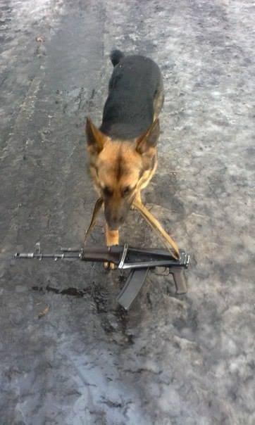 Оруженосец.jpg